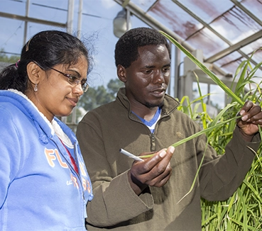 Agriculture students